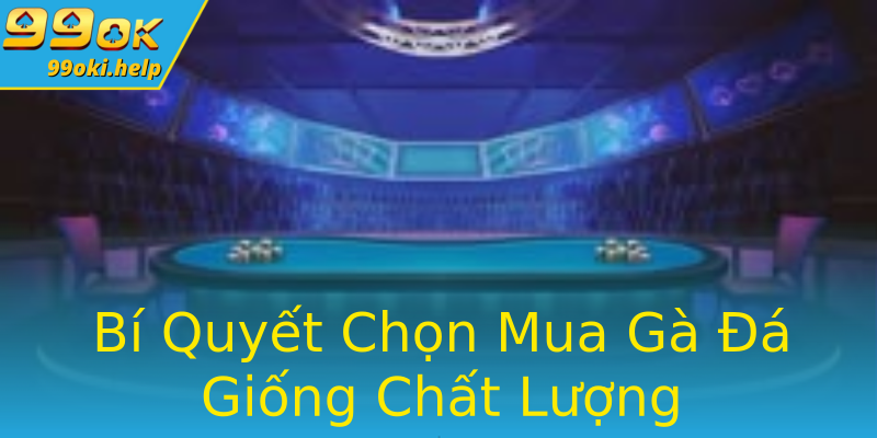 Bí Quyết Chọn Mua Gà Đá Giống Chất Lượng Bí Quyết Chọn Mua Gà Đá Giống Chất Lượng