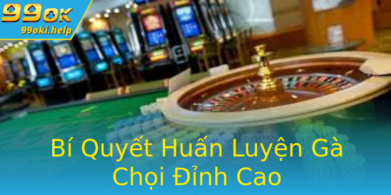 Bí Quyết Huấn Luyện Gà Chọi Đỉnh Cao Bí Quyết Huấn Luyện Gà Chọi Đỉnh Cao
