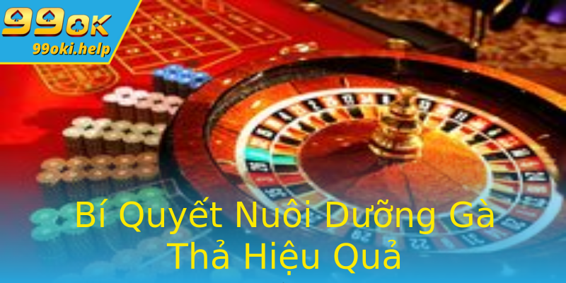 Bí Quyết Nuôi Dưỡng Gà Thả Hiệu Quả Bí Quyết Nuôi Dưỡng Gà Thả Hiệu Quả