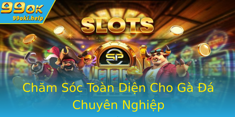 Chăm Sóc Toàn Diện Cho Gà Đá Chuyên Nghiệp Chăm Sóc Toàn Diện Cho Gà Đá Chuyên Nghiệp