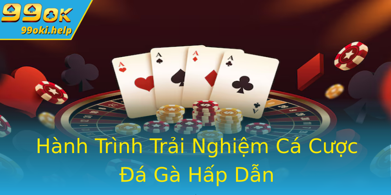 Hành Trình Trải Nghiệm Cá Cược Đá Gà Hấp Dẫn Hành Trình Trải Nghiệm Cá Cược Đá Gà Hấp Dẫn
