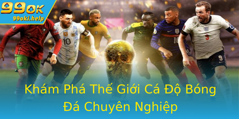 Khám Phá Thế Giới Cá Độ Bóng Đá Chuyên Nghiệp Khám Phá Thế Giới Cá Độ Bóng Đá Chuyên Nghiệp