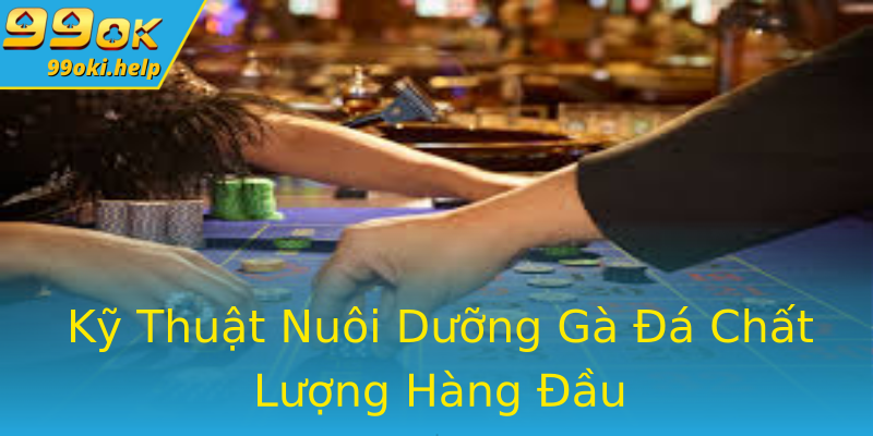 Kỹ Thuật Nuôi Dưỡng Gà Đá Chất Lượng Hàng Đầu Kỹ Thuật Nuôi Dưỡng Gà Đá Chất Lượng Hàng Đầu