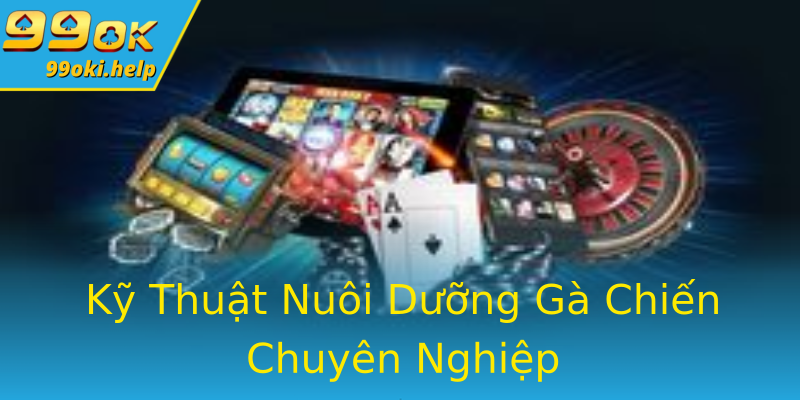 Kỹ Thuật Nuôi Dưỡng Gà Chiến Chuyên Nghiệp Kỹ Thuật Nuôi Dưỡng Gà Chiến Chuyên Nghiệp